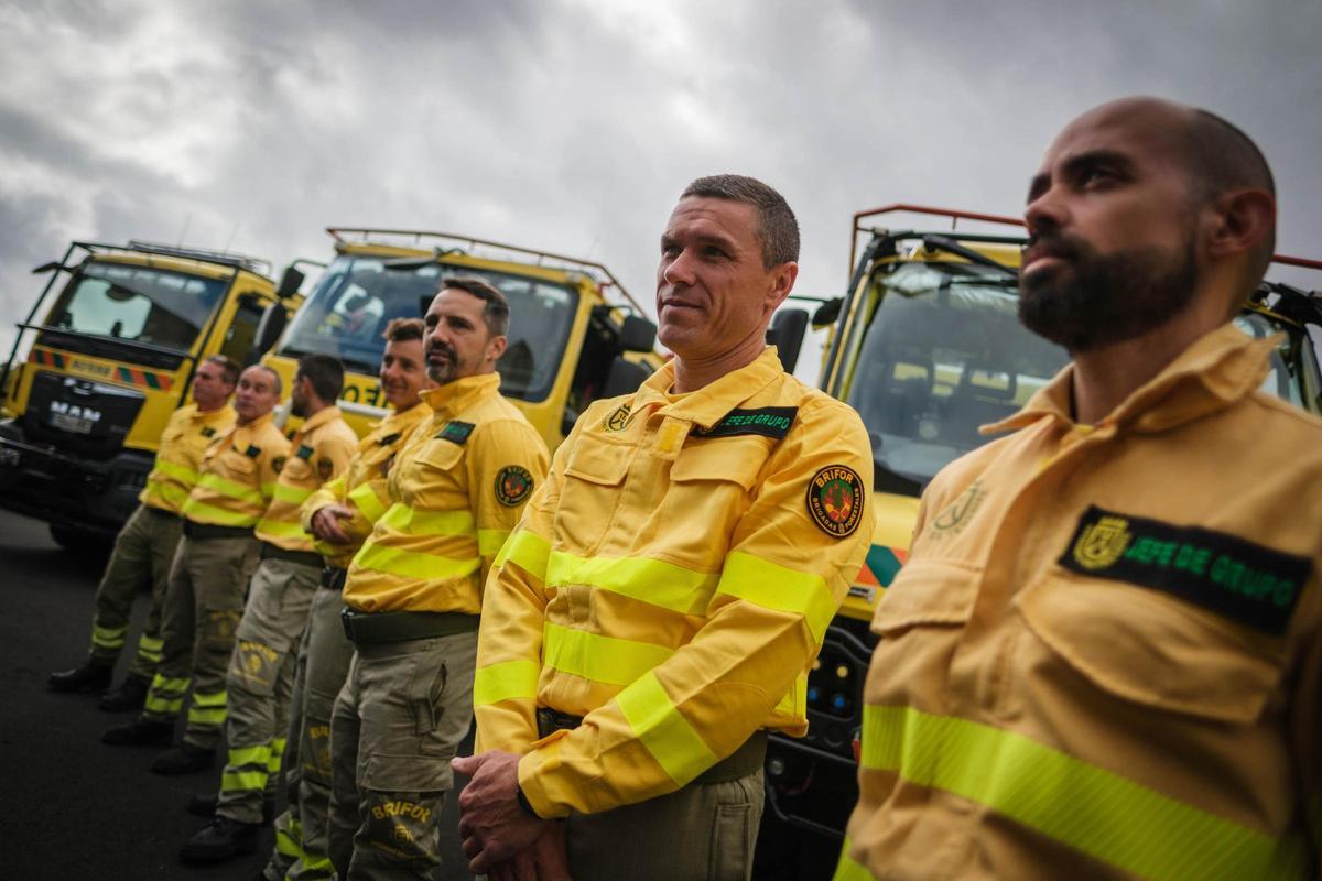 Trabajadores de las Brigadas Forestales del Cabildo de Tenerife