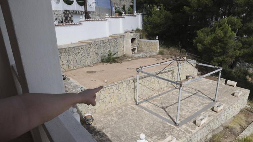 Hallan en Gilet el primer nido de la avispa asiática "asesina" en la provincia de València