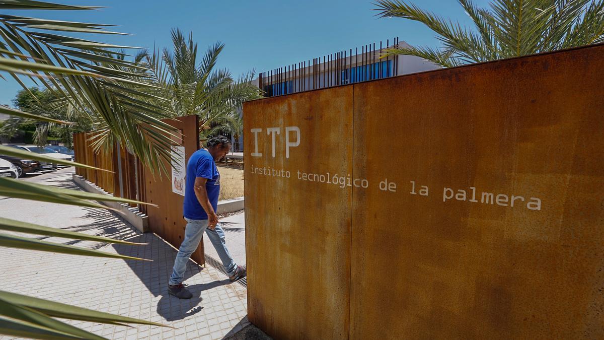 El Instituto Tecnológico de la Palmera de Elche.