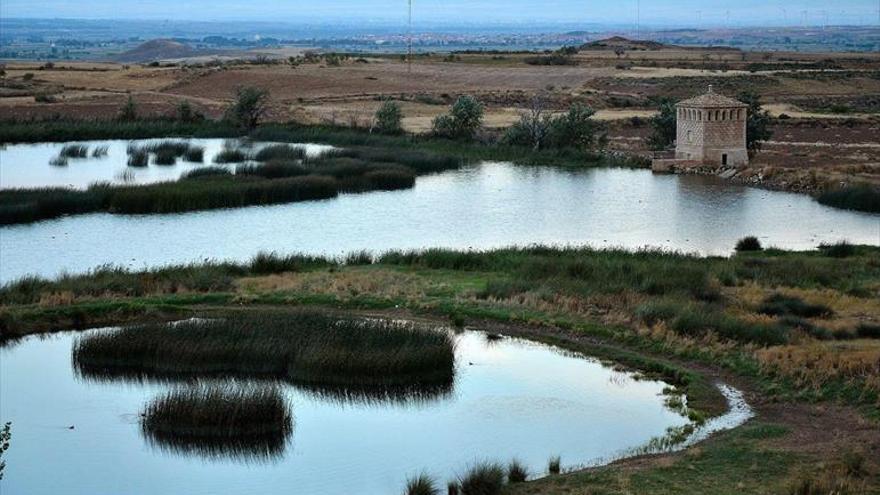 La compañía Enel financiará 4 proyectos sostenibles en Borja