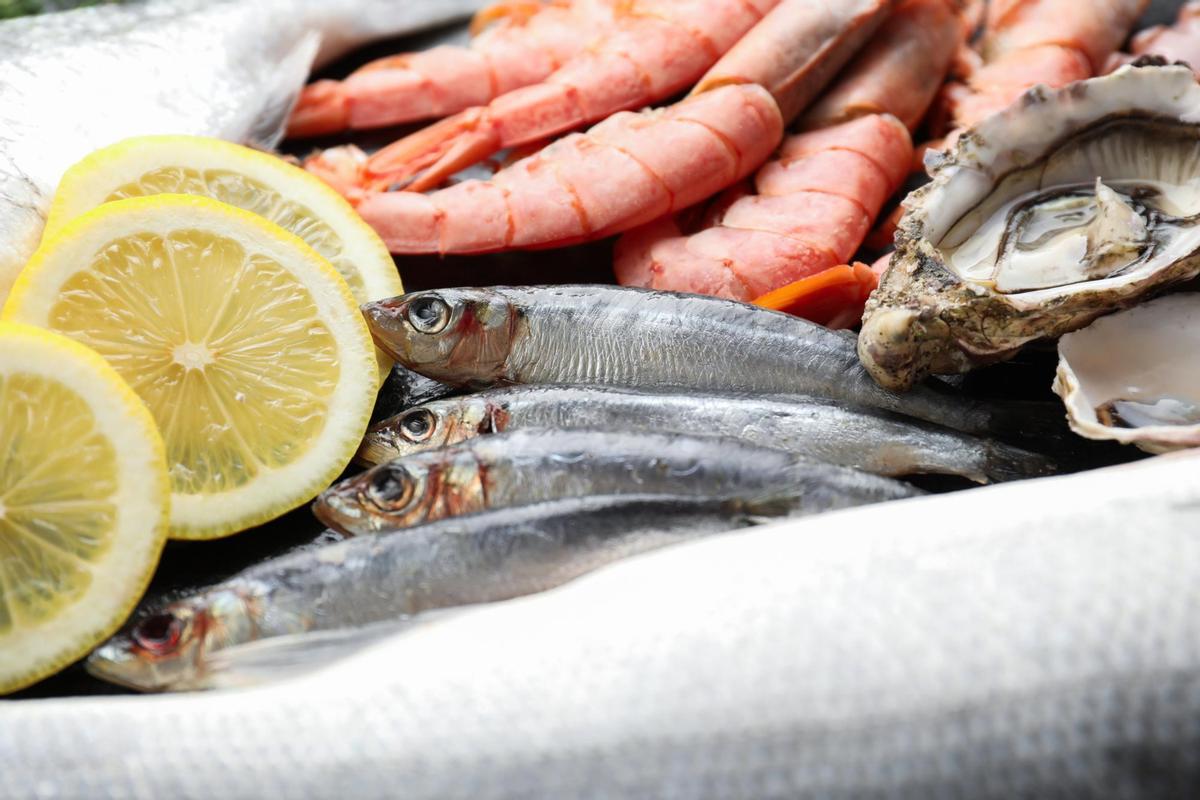 Varios tipos de pescado.