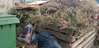 Una mayor presencia del mosquito tigre deja sin dormir a los vecinos de Tirán