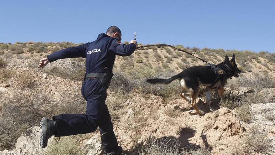 Psicología canina