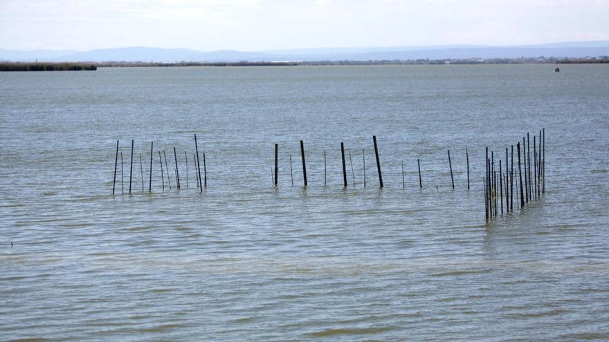 &quot;En enero podríamos trabajar en un mapa del subsuelo de l&#039;Albufera&quot;