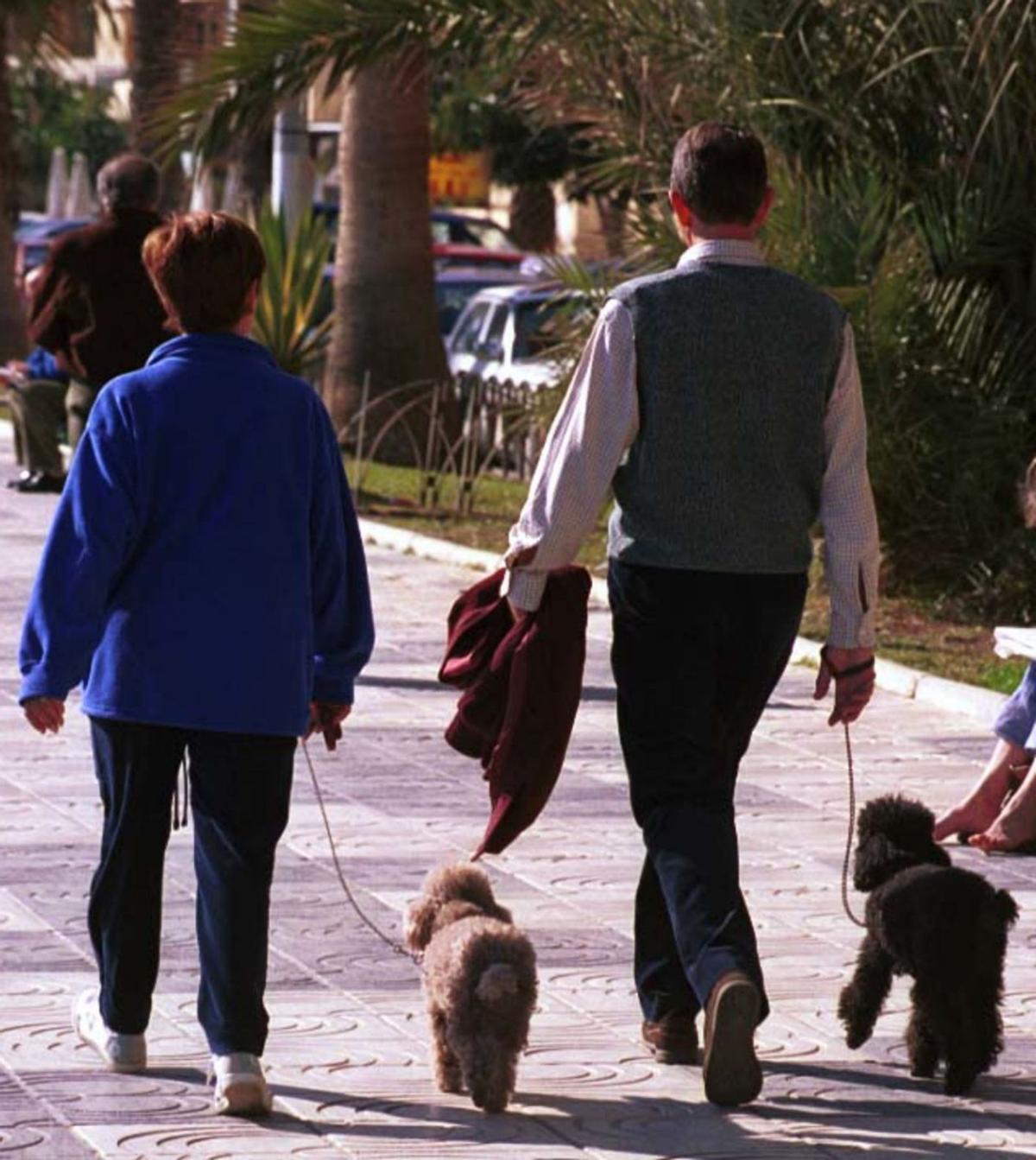 Dos personas pasean a sus perros en una calle de la ciudad. | LA OPINIÓN