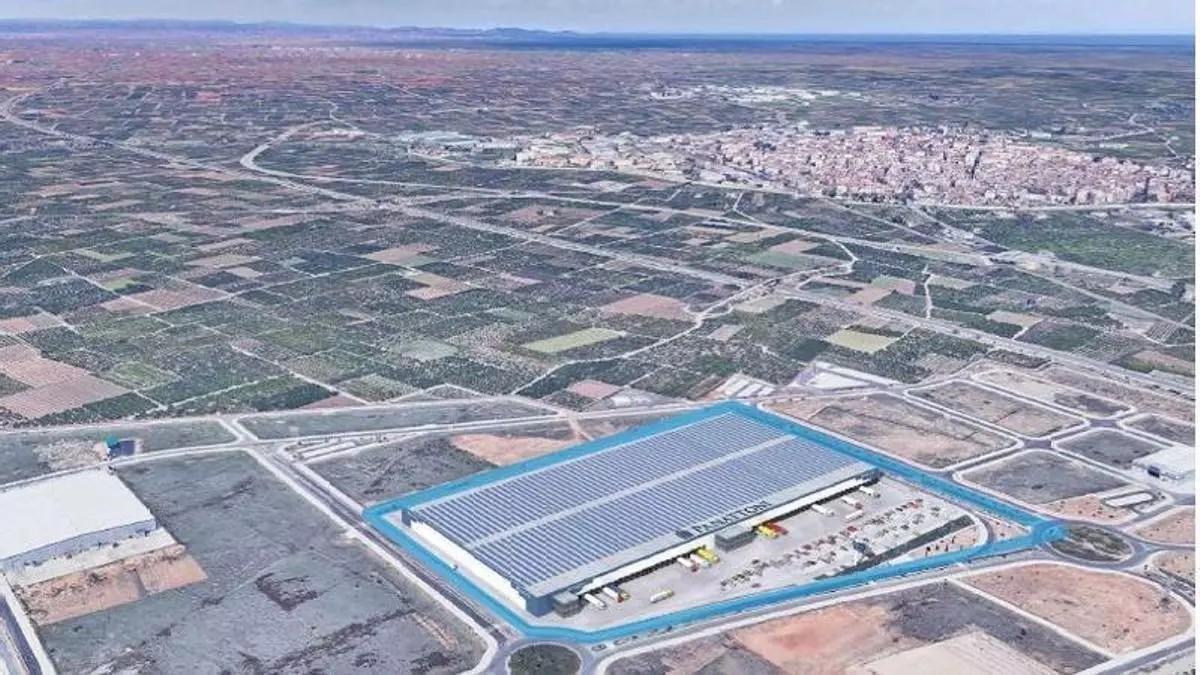 Espacio que ocuparán las naves que promueven las compañías Accolade y Panattoni en Alzira.