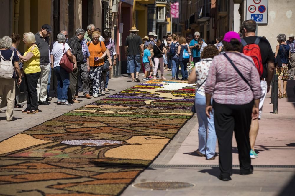 El concurs de catifes de flors naturals omple Arbúcies