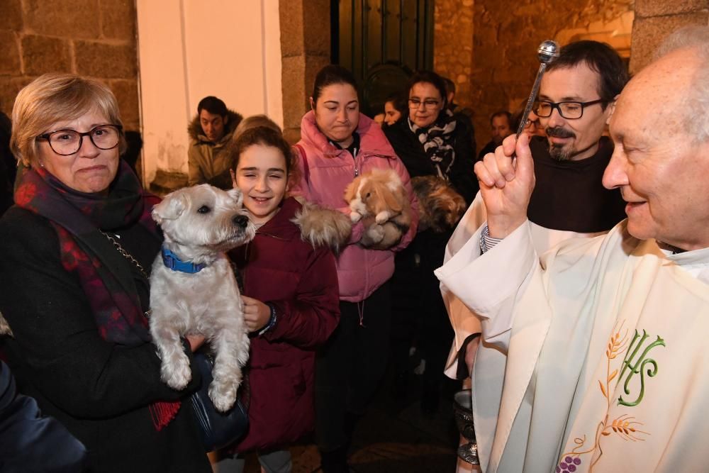 Bendición de mascotas en A Coruña