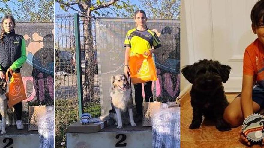 Los jóvenes de la comarca triunfan en el Campeonato de Aragón