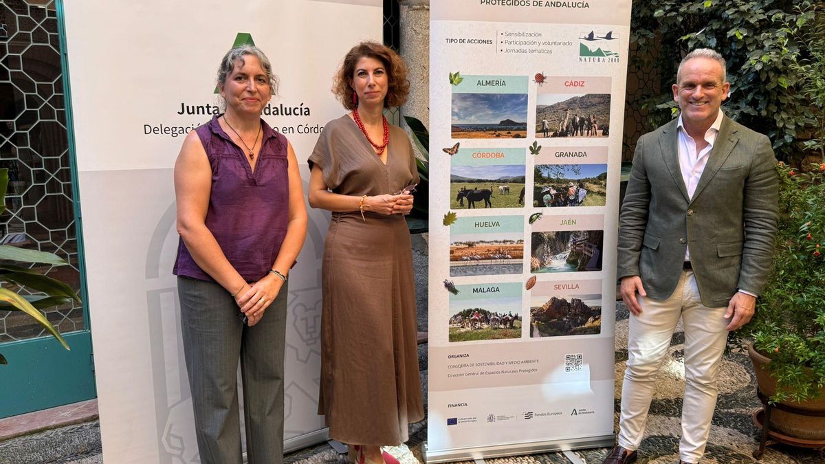 Presentación de las actividades.
