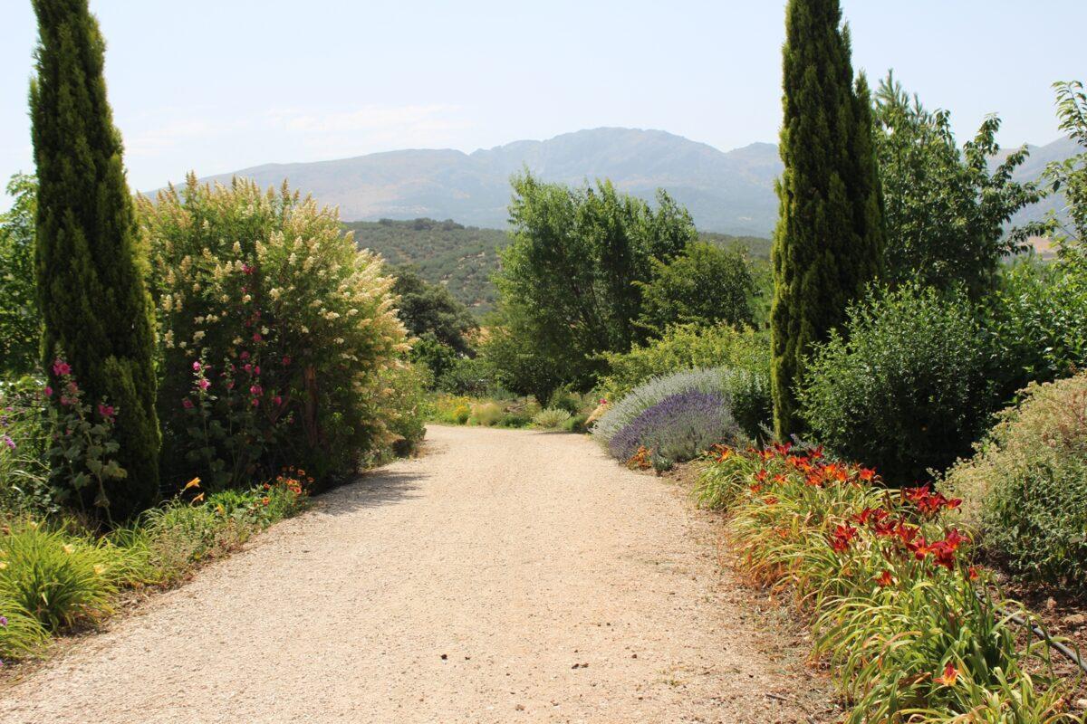 El Jardín del Rosario, el parque de Málaga que se ha convertido en uno de los mejores del mundo