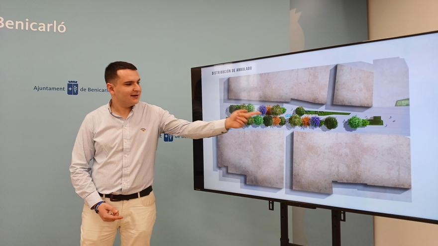 Adiós a las palmeras del centro de Benicarló: Crearán un nuevo &#039;pulmón verde&#039;