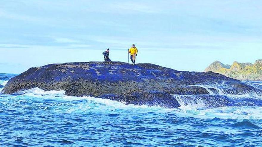 Una de las zonas de extracción de percebe en la costa de Cangas. |   //  FDV