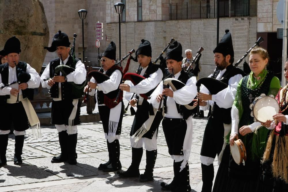 Homenaje a Luis de Trelles en Zamora