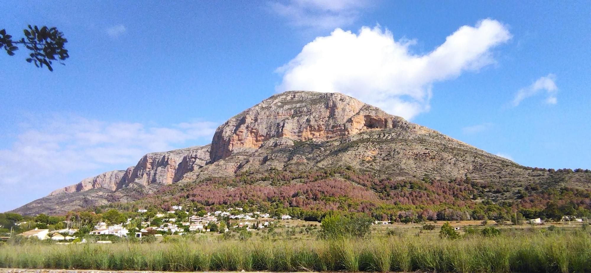 El Montgó, tras las lluvias: contraste entre el verde y el marrón de los pinos muertos