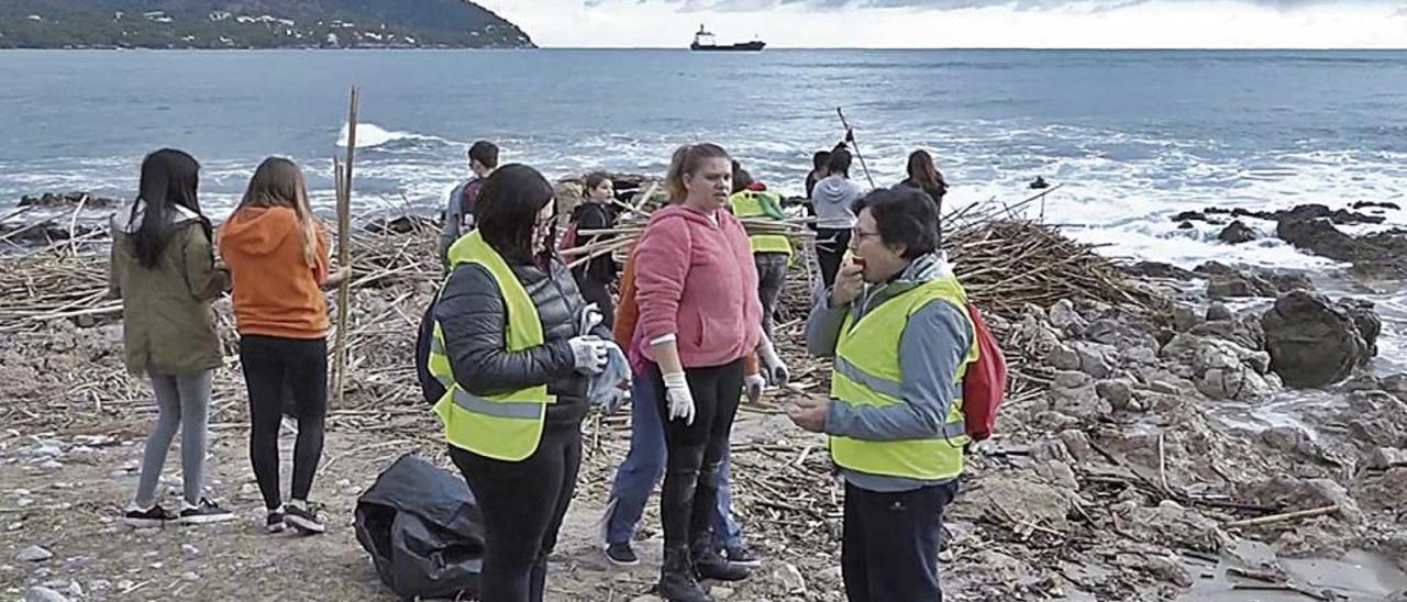 Una de las fases de la limpieza de cañas, que ahora serán reutilizadas.