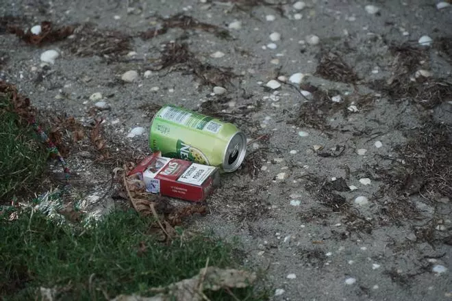 Limpieza ambiental en la ría do Burgo