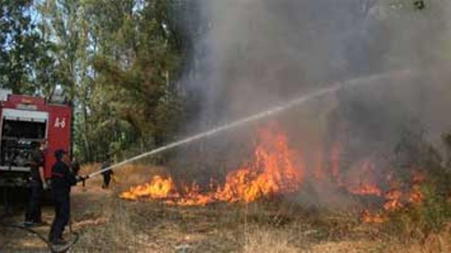 La eficacia de las labores de prevención reduce el riesgo de incendio en la región