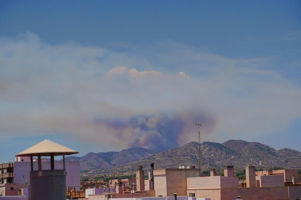 Incendio forestal en Monóvar