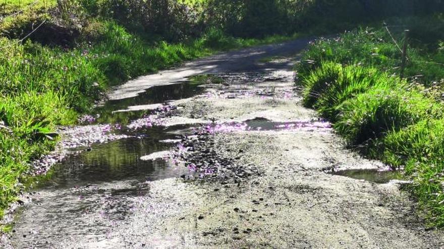 Contigo Silleda urge desbroces y drenajes en la carretera de A Saleta