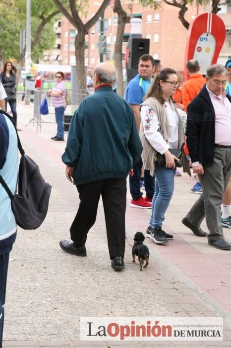 Media Maratón de Murcia: grupos y corredores