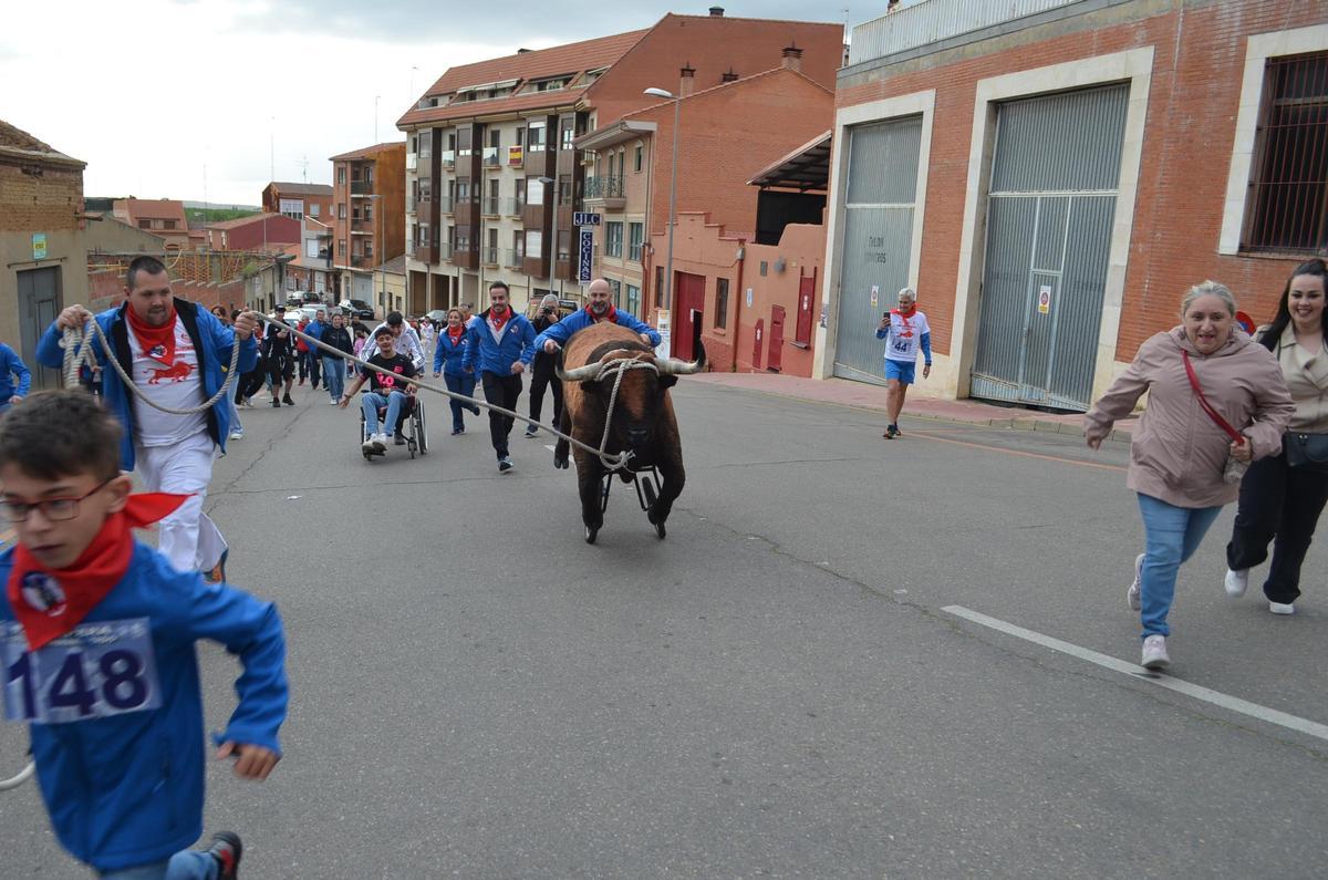La XXI Carrera del Toro Enmaromado en La Veguilla, en imágenes