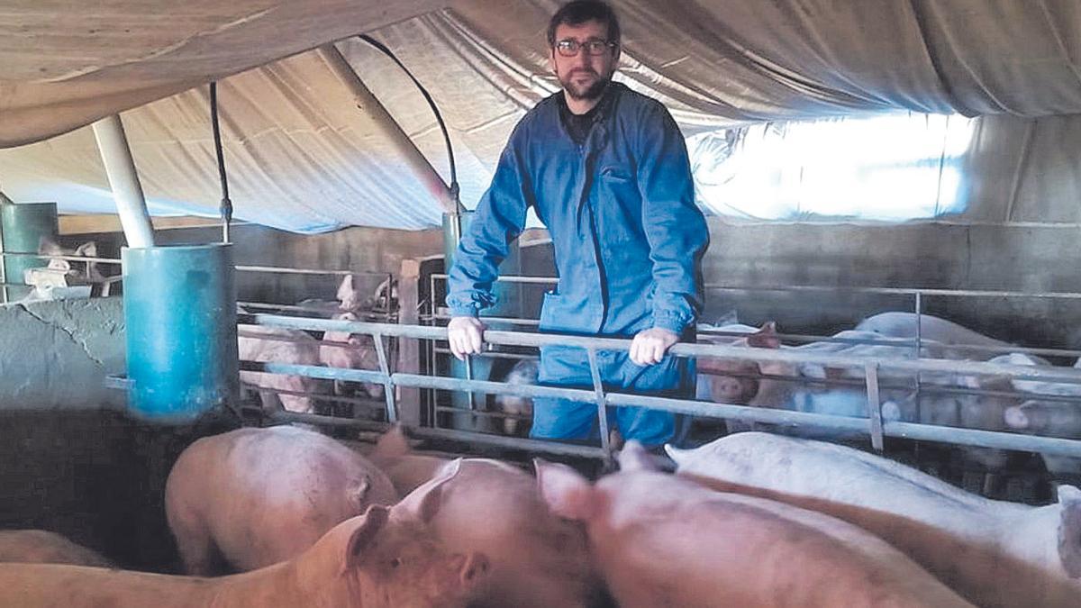 El ganadero de Morella Miguel Ángel Querol posa en su granja de porcino situada en Morella.