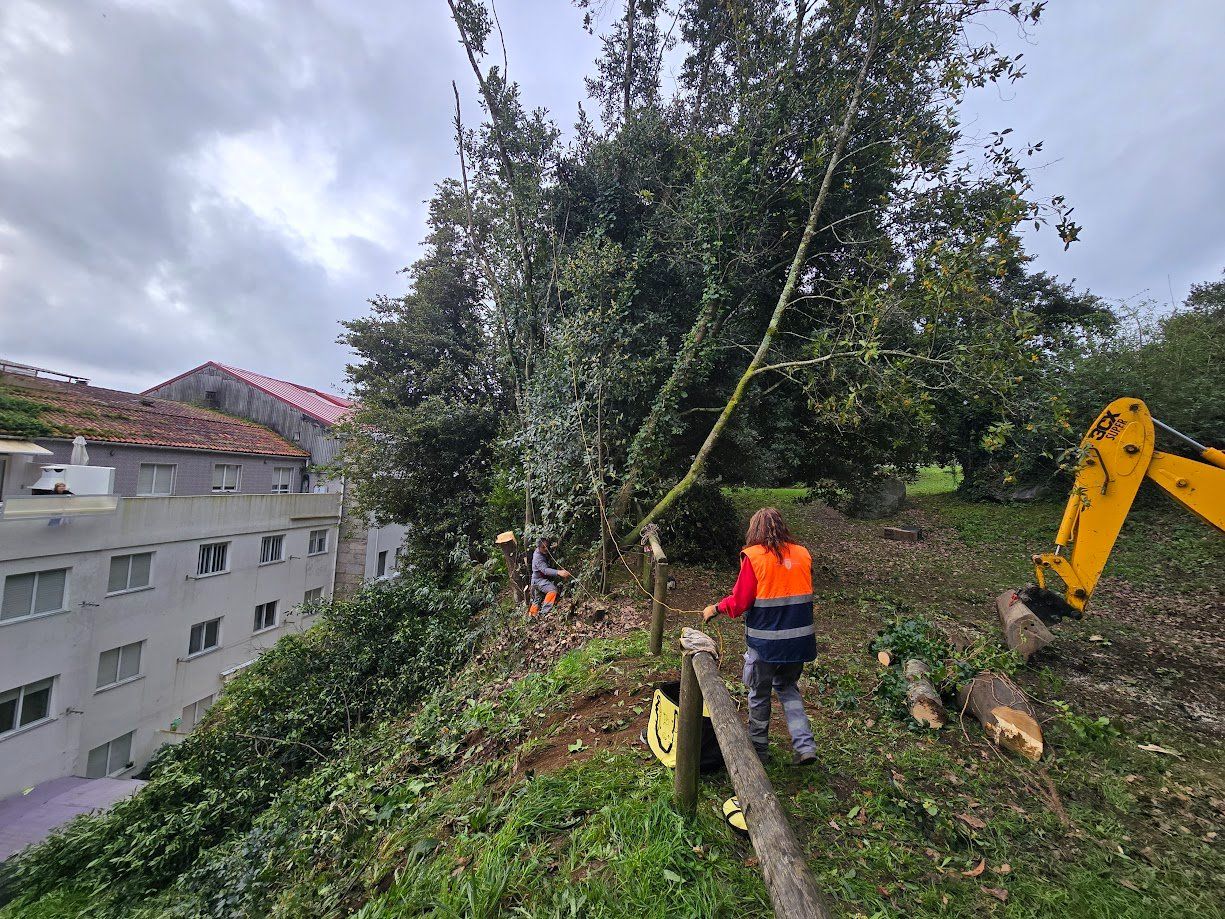 La tala de árboles en el Parque Valdés Bermejo para garantizar la seguridad ciudadana.