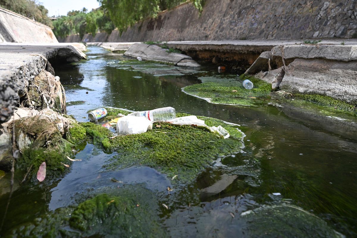 En el río Vinalopó a su paso por Elche se acumulan basuras de todo tipo, principalmente plásticos