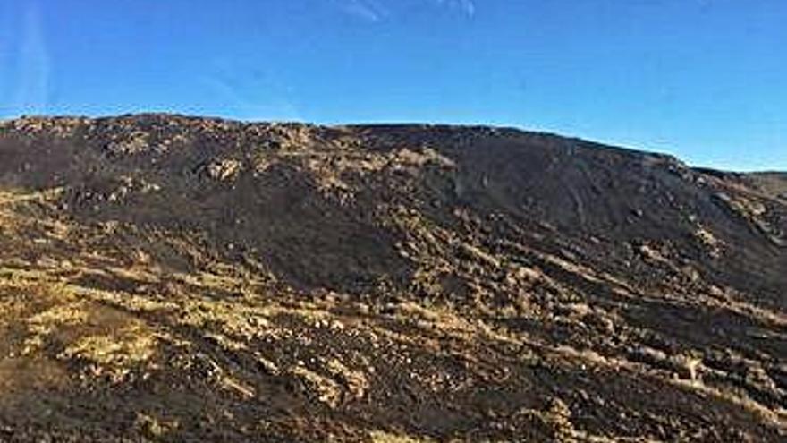 Así quedó la zona quemada en Porto de Sanabria.