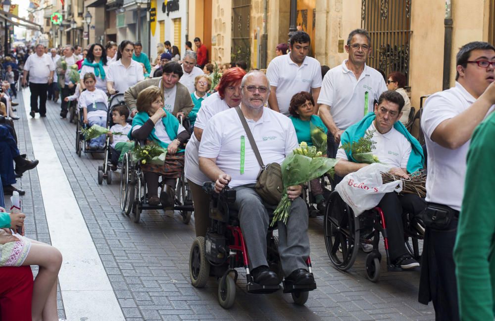 Festes de Sant Pasqual en Vila-real 2016