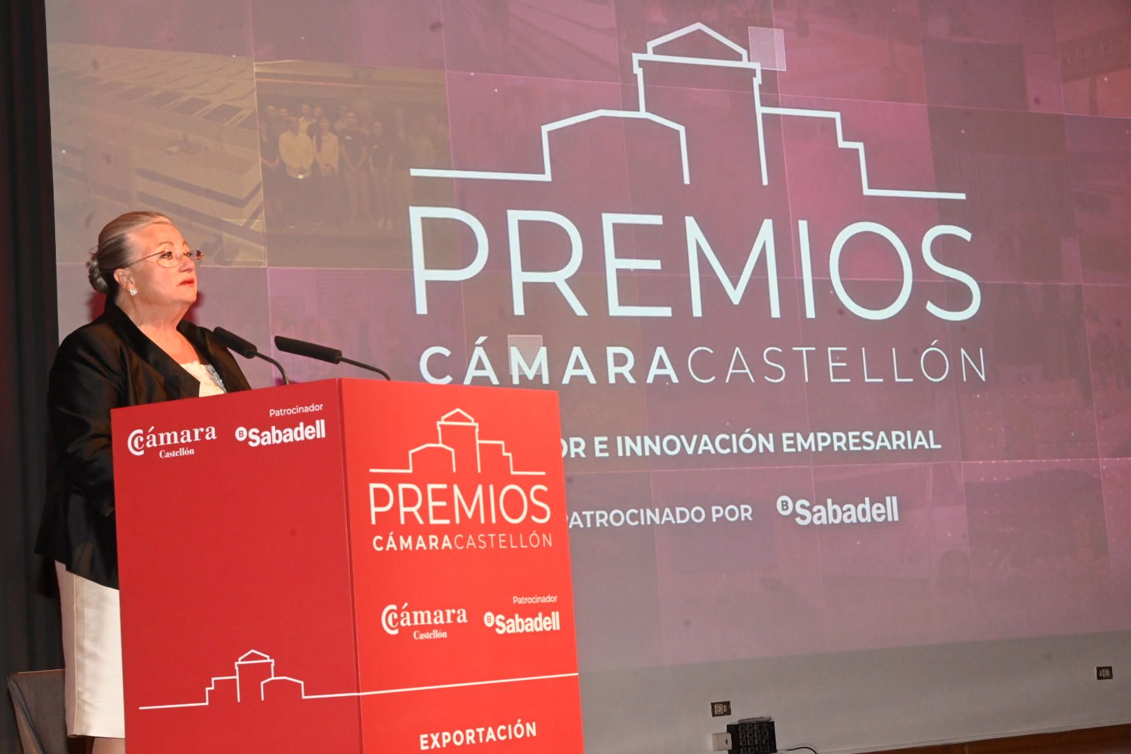 Galería: Entrega de los Premios de Cámara