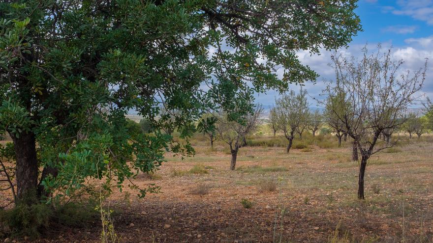 Los municipios de Los Serranos reciben con &#039;cautela&#039; la construcción de la planta fotovoltaica Godelleta 12