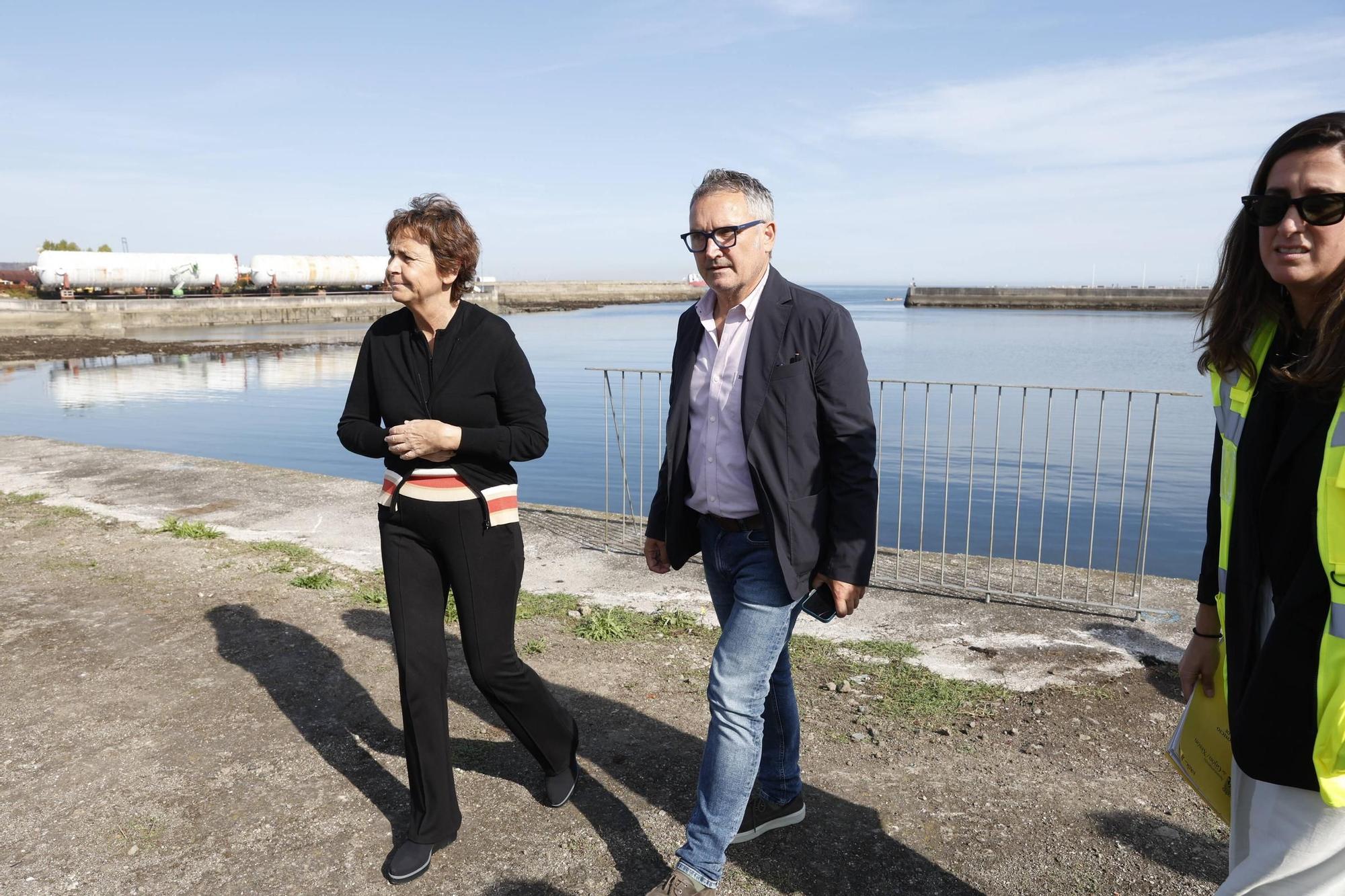 Así avanzan los trabajos en los terrenos de Naval Gijón (en imágenes)