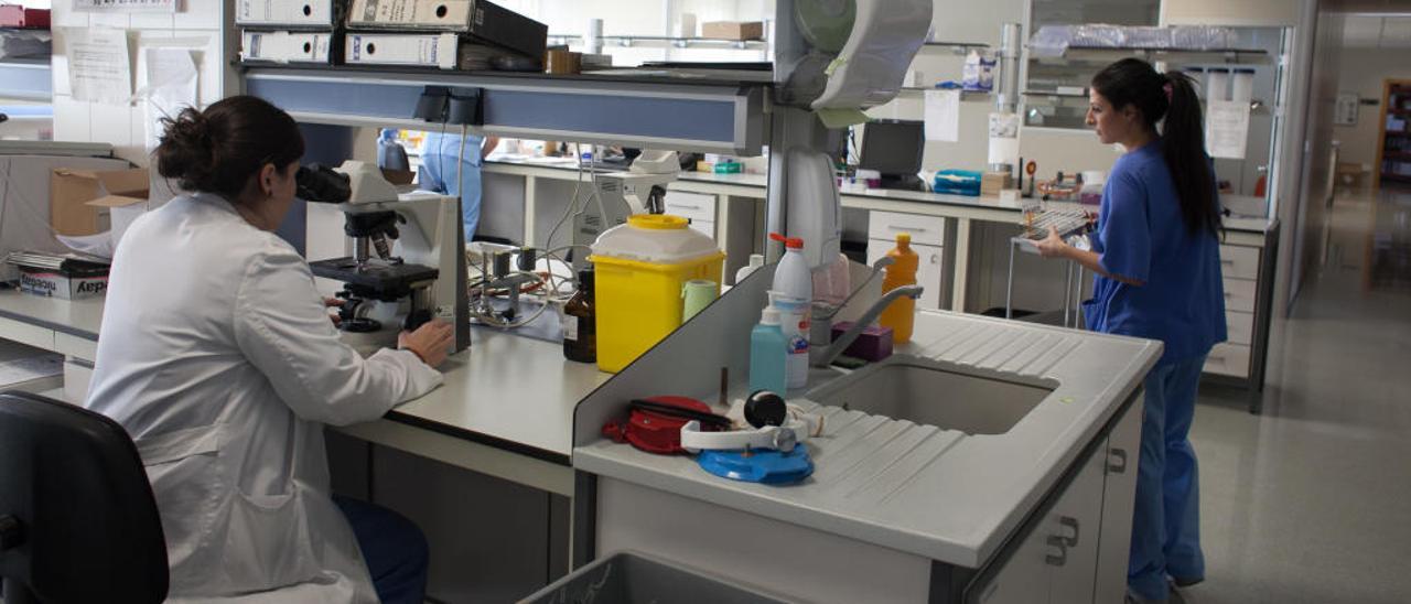 Uno de los laboratorios del Hospital General de Elche, en una imagen de archivo.