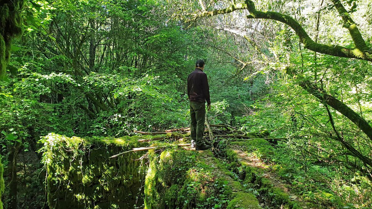 Ruta dos Muiños en Gondomar