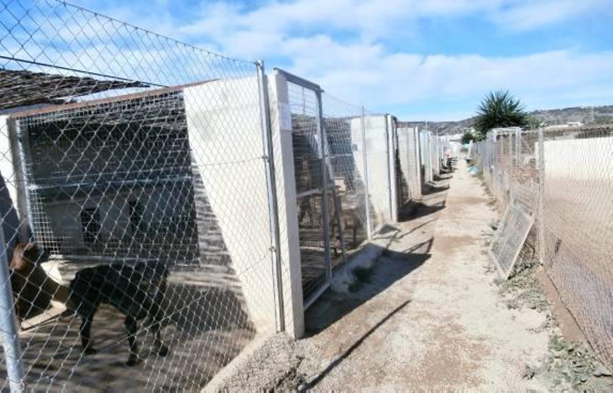 Las jaulas que los ladrones abrieron.