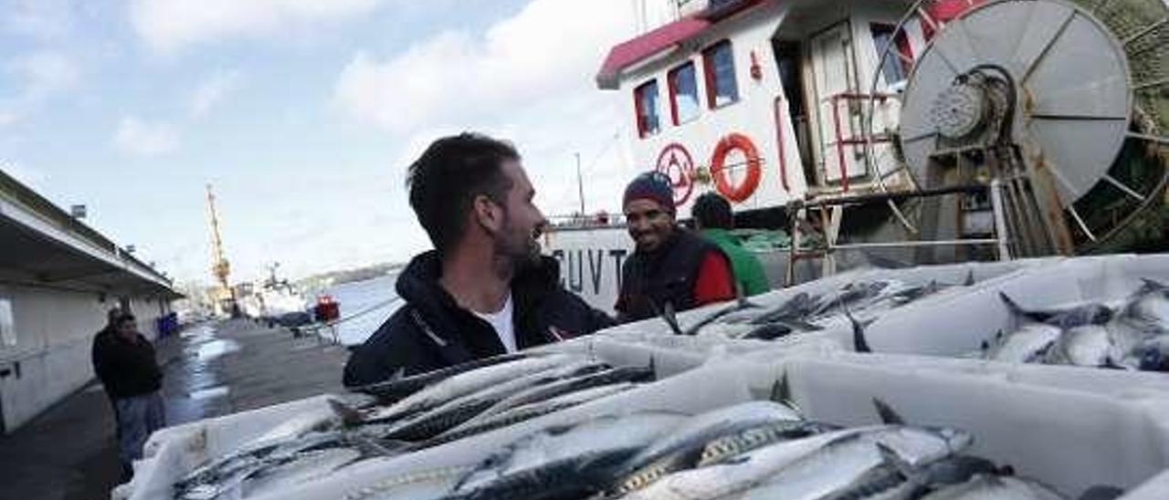 Descarga de pescado en el puerto de Avilés.