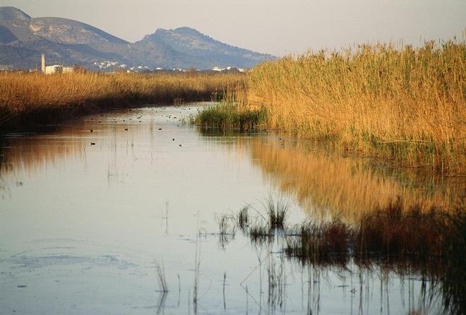 Albufera