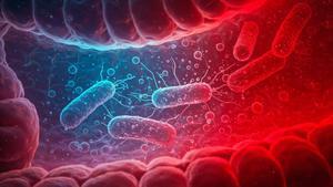 Representación artística de las bacterias que forman la microbiota intestinal