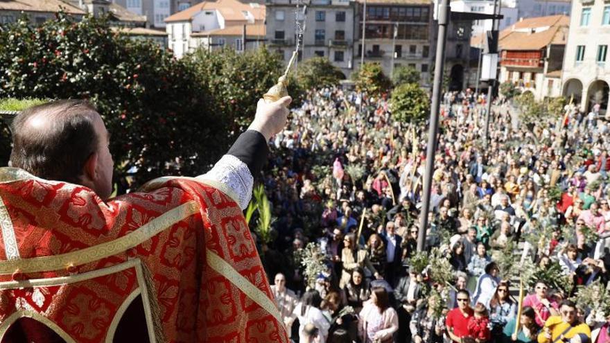 Lechuguilla colgante masculino Pontevedra recupera cuatro años después la multitudinaria bendición del Día  de Ramos - Faro de Vigo