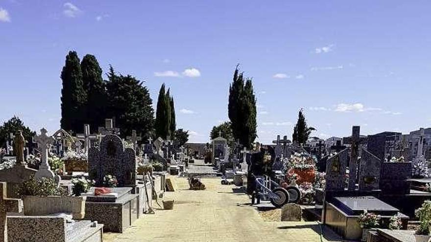 Adoquines para el cementerio de Benavente