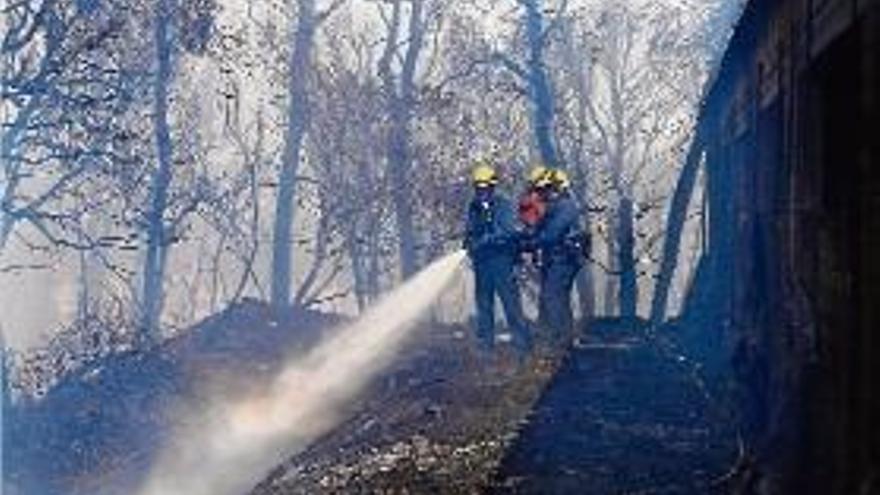 Un incendi declarat a Madremanya crema més de 140 hectàrees al Gironès