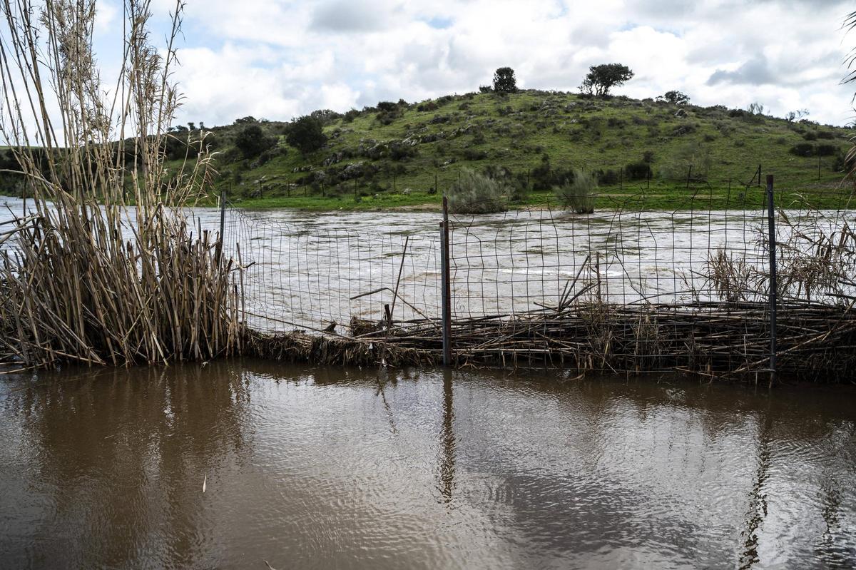 Galería | Estado del Marco tras el desembalse del Guadiloba en Cáceres