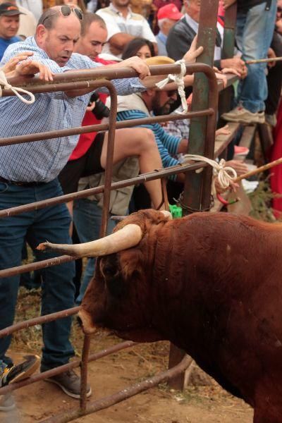 Encierro en San Miguel de la Ribera