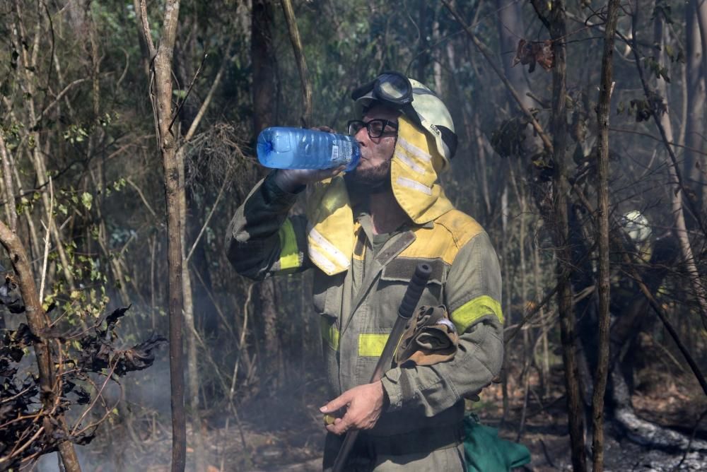 Incendio forestal en Cotobade