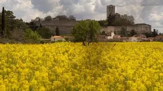 Esto es lo que necesita Zamora para ser declarado Paisaje Cultural por la Unesco