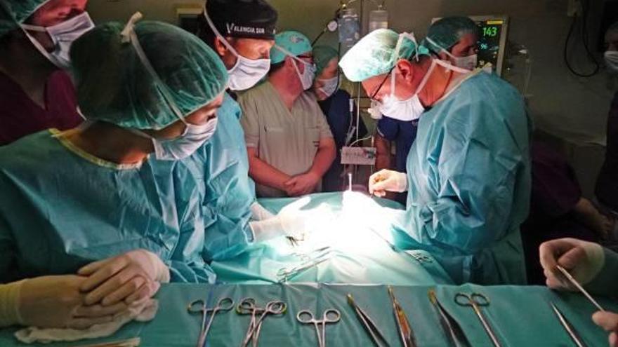 Una clínica de Silla aplica una novedosa técnica para operar a corazón abierto a un perro