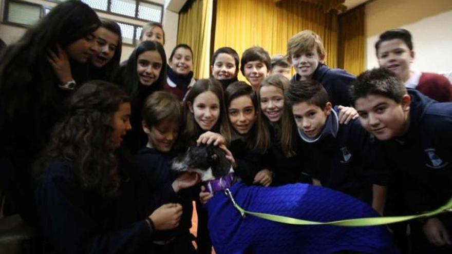 Los alumnos de 5.º y 6.º de Primaria de las Doroteas se interesan por la vida de los galgos