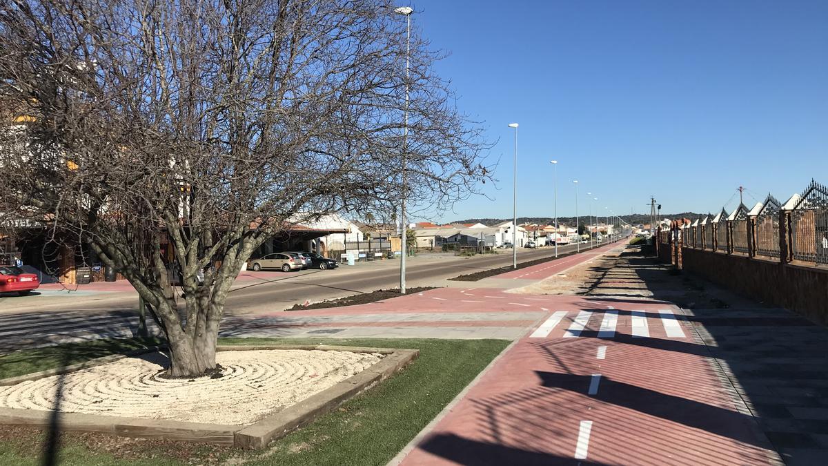 Imagen de uno de los carriles bici del municipio miajadeño.